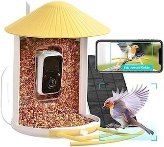 NETVUE by
