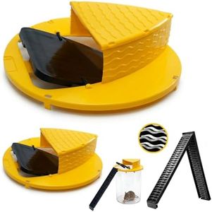 Mouse Trap