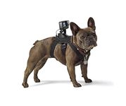 Gopro Hero For Pet