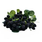 M2cbridge 4PCS Artificial Raspberry Red Berry Strawberry Faux Fruit BlackBerry Props Table Decoration (Black)