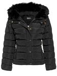 SS7 Women's Padded Winter Jacket, Sizes 8 to 16 (UK - 14, Black)