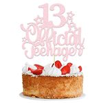 Ephlyn 1 Pack 13 Official Teenager Cake Topper Light Pink Glitter Number 13 Cheers to 13 Cake Topper 13th Birthday Cake Pick Decorations for Teen 13th Birthday Party Decorations Supplies