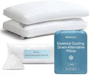 Coop Home Goods Essence Cooling Dow