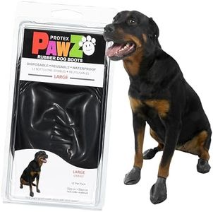 Pawz Dog B