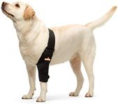 NeoAlly Dog Elbow Brace Protector P