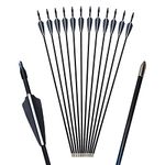 GPP 28" Fiberglass Archery Target Arrows - Practice Arrow or Youth Arrow for Recurve Bow - 12 Pack,Black Vanes