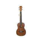 Hertz HZA UKULELE- 2 (Plain) Rosewood - 26 inch