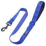 VIVAGLORY Dog Leash with Padded Handle, Heavy Duty 3FT Reflective Nylon Training Leash Walking Lead for Medium to Large Dogs, Blue