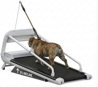 Dog Treadm