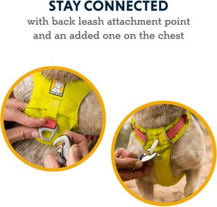 RUFFWEAR Hi & Light Dog Harness – Adjustable No Pull, Sage Green (S, 56-69cm)