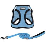 Voyager Step-in Air All Weather Mesh Harness and Reflective Dog 5 ft Leash Combo with Neoprene Handle, for Small, Medium and Large Breed Puppies by Best Pet Supplies - Blue, XX-Small