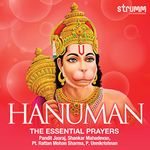 Hanuman The Essential Prayers CD