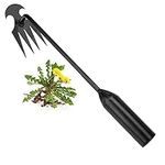 Weed Removal Tool, 2024 New Garden 