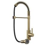 Liquida CT595BR Brushed Brass Spring Kitchen Mixer Tap with Pull Out Spray Head