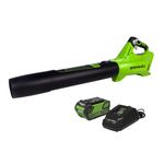 Greenworks 40V Cordless Leaf Blower (125 MPH /450 CFM) / Turbo Mode Electric Jet Blower, High Power, Lightweight & Quiet for Yard Patio Debris Leaves Dust Cleanup, Includes 2.0 Ah Battery & Charger