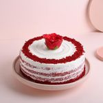 FlowerAura Delicious Silky Smooth Fresh Desirable Red Velvet Delight Cake With Red Rose Valentine's Day Gift For Girlfriend, Boyfriend, Husband & Wife (Same Day Delivery) (1Kg)