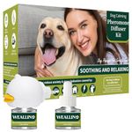 Calming Scents For Dogs