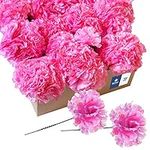 Royal Imports Artificial Carnations