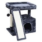 SIYIPURR Small Cat Tree for Indoor 