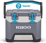 Igloo Quart Cooler with Cool Riser 