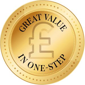 Revlon One-Step Air Hair Straightener – Salon Blowout Tool