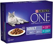 Purina ONE Adult Cat Food Fish and 