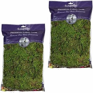 SuperMoss (25322 Forest Moss Preserved, Fresh Green, 8oz (2 Pack)