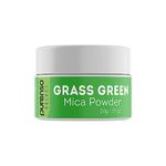Purenso Select - Grass Green Mica Powder, 10g I For Soap Making, Candle, Lip Gloss, Nails, Bath Bombs, Art Crafts, Resin