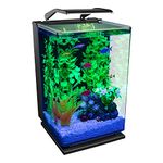 Aquaria 75078238: Tetra GloFish Aquarium Kit, 5 Gal