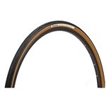 Panaracer GravelKing Slick TLC Folding Tyre : Black/Brown, 700 x 38c