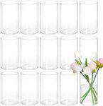 CEWOR 15pcs Glass Cylinder Vases Fl