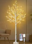 6Ft Lighted Birch Tree, Remon Birch Tree with 160 LED Lights Remote 8 Flashing Modes Dimmable Timing, Plug-in Power, Artificial Lighted Tree for Home Wedding Party Christmas Decorations Indoor Outdoor