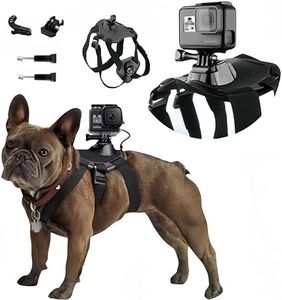 Dog Harnes