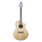 Breedlove Discovery S Concert Classical-Electric Guitar