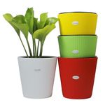 GREENON® 10 Inch Plant Pot Pack of 4 (8 Pots) Self Water | Multi Colour Outer and Black Inner Planter | Self Water | UnFadable Flower Pot | Virgin Plastic Gamla | for Indoor and Balcony