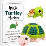 Positive Turtle Gifts, Crochet Animals Cute Stuff, Weird Good Luck Emotional Support Romantic Gifts Cheer Up Gifts for Her Him, Pocket Hug Worry Doll Women for Halloween Christmas