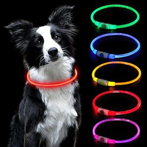 AUAUY Collare per Cani luminoso, Collare per Animali Domestico LED Ricaricabile USB, Impermeabile Tagliabile Collare Regolabile Adatto per Cani Gatti Taglia Piccola Media Grande（Rosso）