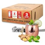 Top Hat Spicy Ginger Beer Soda Syrup BIB Bag in Box Concentrate for Commercial Soda Gun and Fountain Systems - 3 gallon BIB - QCD connection required