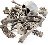 THE TWIDDLERS - 25 PCS Halloween Skeleton - Skeleton Halloween Decoration - Skull Bones Halloween Skeleton, Party Prank Toys Costume Party Props and Scary Decorations - Full Size Skeleton