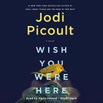 Wish You Were Here: A Novel