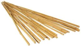 FlickBuyz 2ft -3ft- 4ft- 5ft - 6ft Garden Bamboo Canes/Poles/Stakes/Trellis Strong Quality Plant Support Green Canes(10 X 2FT)