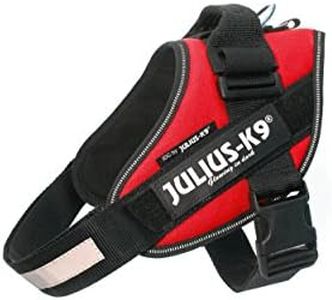 Julius-K9,