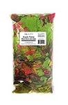 Burgham Aqua-Fit Tropical Fish Flake Food Staple Diet Tropical Flakes, A Complete and Nutritionally Balanced Diet for All Aquarium Fish (1 LB)