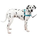 PetSafe Easy Walk Deluxe Harness, No-Pull Walking Harness for Dogs, Padded Design, Includes 1.8m Lead, Large-Ocean Blue/Black Lead