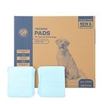 Arm & Hammer Pads for Stay at Home Dogs - 200ct