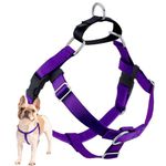 2 Hounds Design Freedom No Pull Dog Harness | Adjustable Gentle Comfortable Control for Easy Dog Walking | for Small Medium and Large Dogs | Made in USA | Leash Not Included | 1" MD Purple