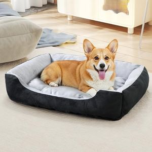 Dog Bed wi
