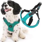 Gooby Escape Free Sport Harness - T