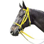 Intrepid International Nylon Race Horse Bridle, Yellow