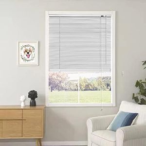 YIIBAII Mini Blinds for 36" W x 64" H Windows 1" Aluminum Horizontal Venetian Blinds Darkening with Rope and Pole can Mounted Inside or Outside